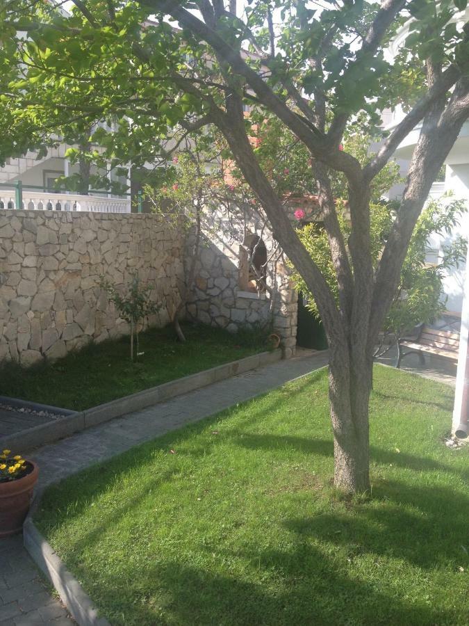 Apartmani Vukicevic 沃迪切 外观 照片